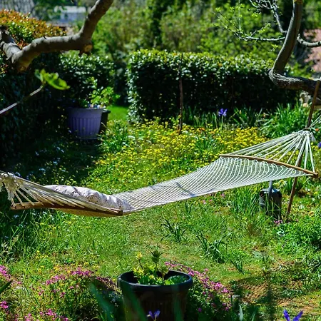 Macan, Beautiful Oasis Pula