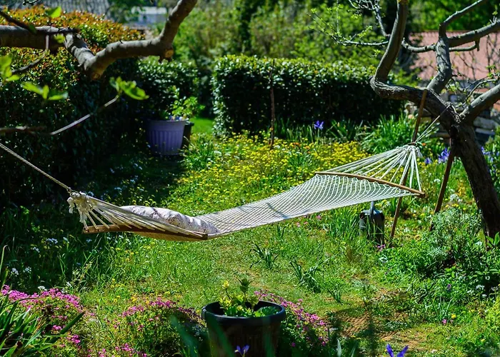 Macan, Beautiful Oasis Pula